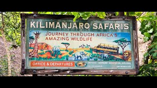 Complete ride thru for Kilimanjaro Safaris at Disney&#39;s Animal Kingdom