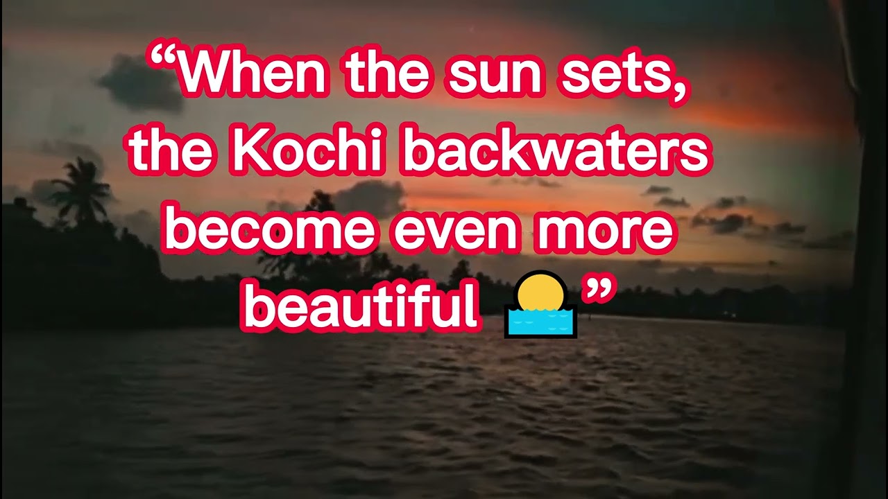 Evening Boat Ride in Kochi Backwaters 🌅
