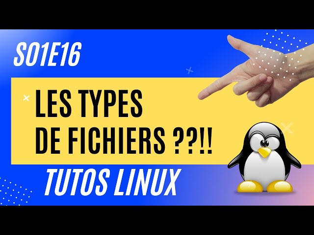 Les types de FICHIERS  - #Linux 1.16