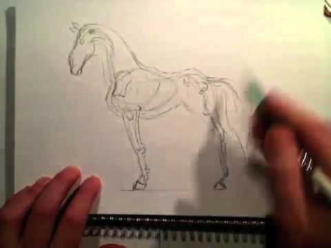 Justin TV Test recording # 4 and horse tutorial