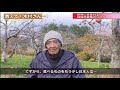 【自然栽培】肥料のリスク～硝酸態窒素（しょうさんたいちっそ）の影響【木村秋則さん】