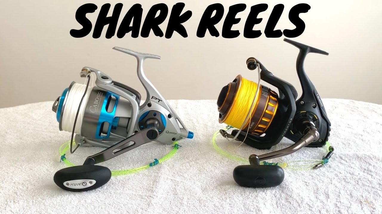 SURF FISHING for SHARKS!! The Spinning Reels We Use, Daiwa BG, Fin-nor  offshore and Quantum Cabo 