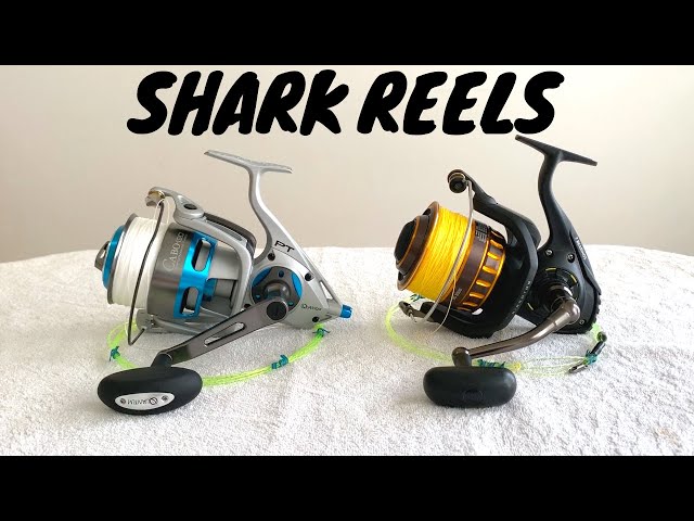 SURF FISHING for SHARKS!! The Spinning Reels We Use, Daiwa BG, Fin-nor  offshore and Quantum Cabo 