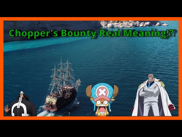 One piece theory: reveal of chopper's low bounty, and connection