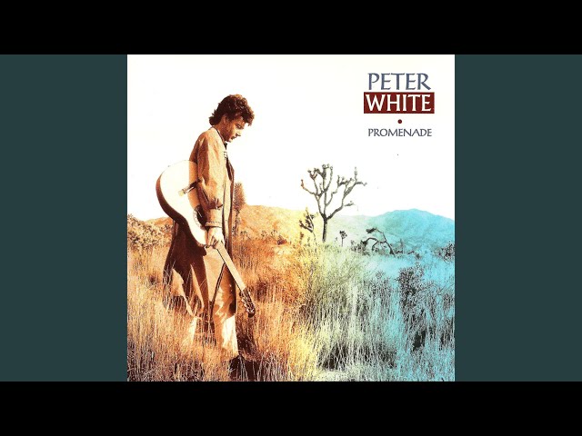 Peter White - Reason To Live