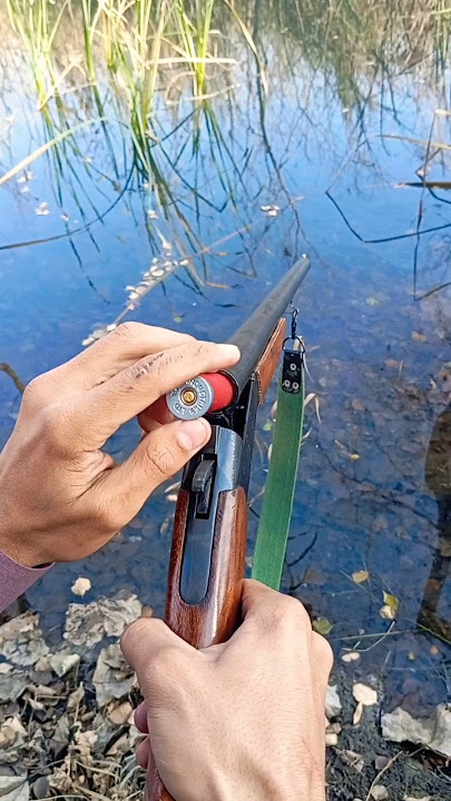 Hunting with 12 bore gun | Duck hunting | Best 12 bore gun for hunting | #shorts | #villagelife