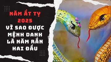 Năm Ất Tỵ 2025 – Vì Sao Được Mệnh Danh Là Năm Rắn Hai Đầu