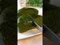 え?これホンマにおから?「むちむち抹茶ケーキ」(天才かも)