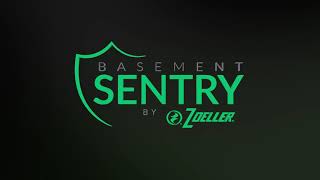 Basement Sentry Battery BackUp Pump Systems