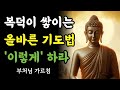 복덕이 쌓이는 올바른 기도법 13가지 | 부처님말씀 | 불교명언