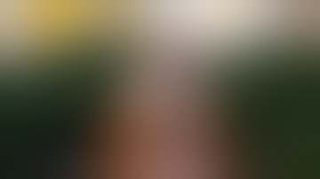 Ukraine Brides Agency: Why do men need to fill in IMBRA