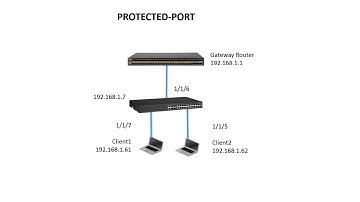 RUCKUS ICX PROTECTED PORT 8.0.61