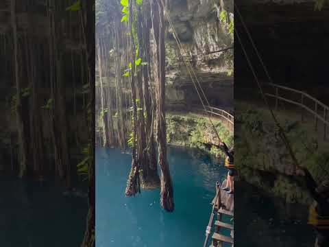 Will You Jump Into The Cenote At Cancun Mexico ?