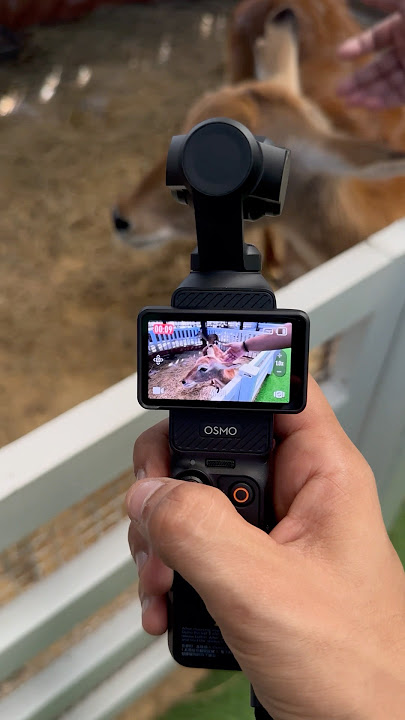 DJI Pocket 3 Gimbal Camera #dji #djipocket3 #camera