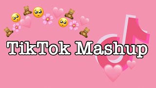 TikTok Mashup 2021 (not clean)