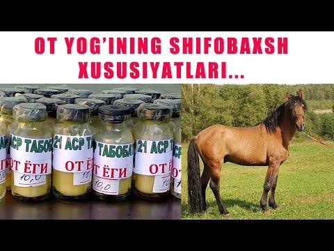 Video: O't oyi quloqlari: qo'llanilishi, xususiyatlari va retseptlari