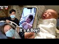 It's a Boy!| 지아동생 태어나는 날| 캐나다 출산 브이로그