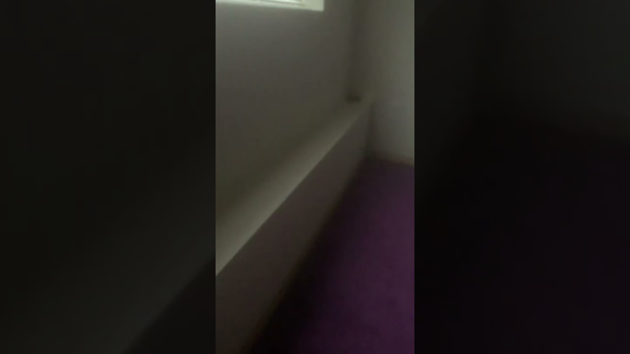 Dangerous spider found by Greg WARNING: SUPER SCARY ⚠️⚠️⚠️⚠️⚠️⚠️😱😱😱😱😱😱