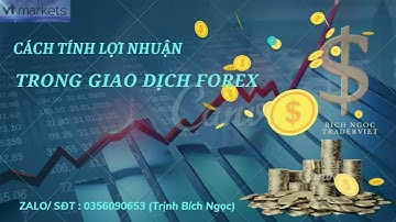 Cách tính lợi nhuận trong giao dịch FOREX ( cặp ngoại tệ & vàng)