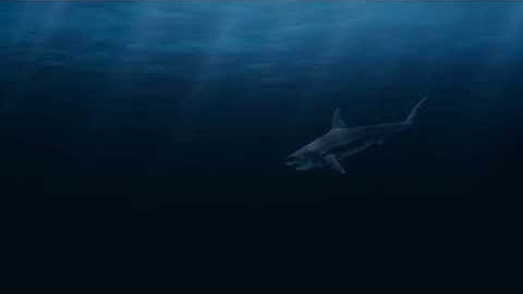 Shark animation in Blender Cycles