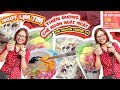 “NGỌT LỊM TIM” CHÈ SƯƠNG SA HẠT LỰU, CHÈ CHUỐI NGON NGÂT NGÂY PHỐ NGUYỄN TRƯỜNG TỘ | TastingVietNam
