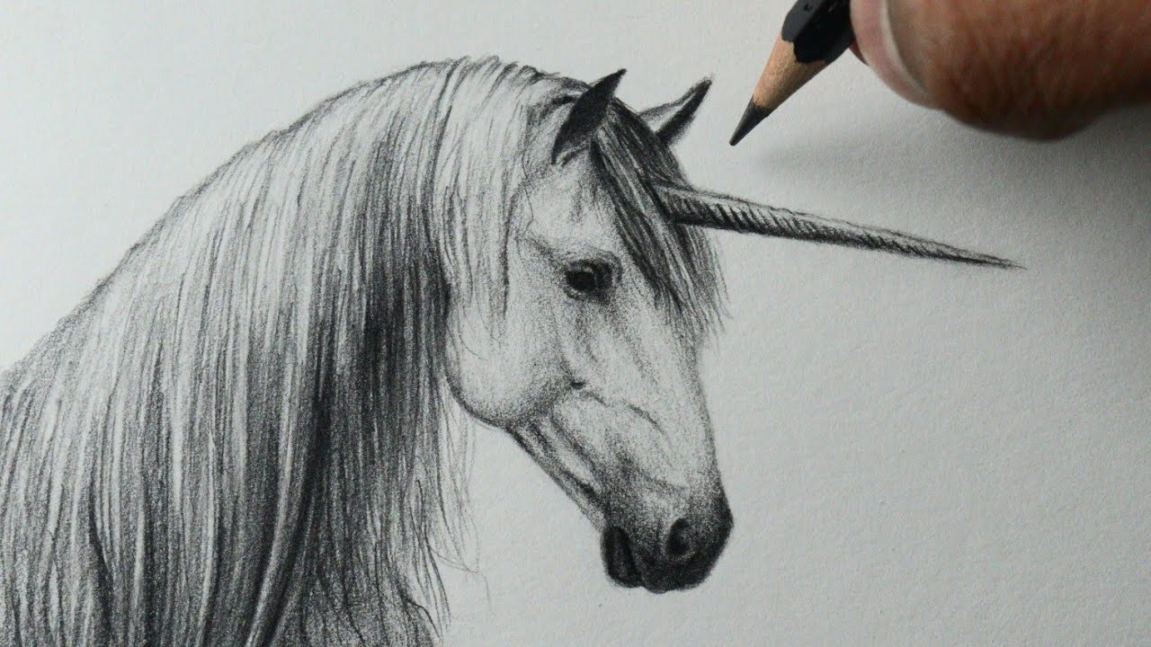 Como desenhar um Cavalo realista PASSO A PASSO narrado 