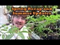 Moving North! Spring Recap and Summer Sneak Peak!