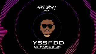 Video thumbnail of "Ariel Sheney - YSSPDD ( Audio officiel )"