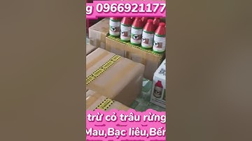 Trâu rừng đen chính hãng