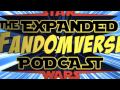 The expanded fandomverse episode 005 with haley skywalker tim is the daughter of a young girl