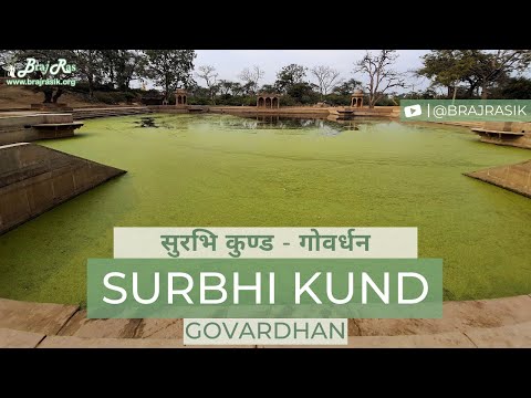 Surbhi Kund Darshan & Pastimes - Govardhan | सुरभि कुंड, दर्शन एवं महिमा