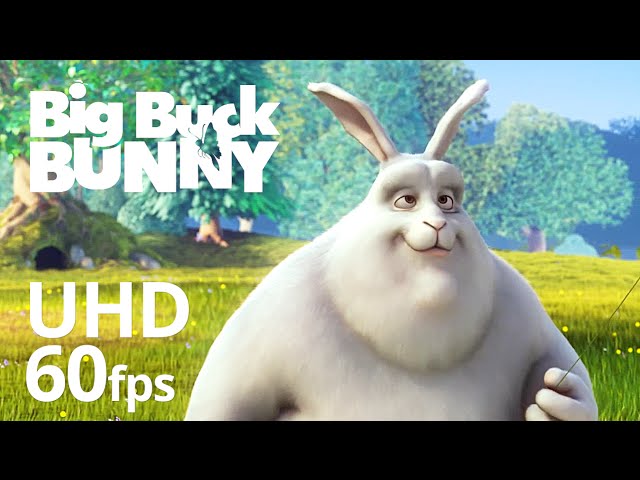 Big Buck Bunny 60fps 4K - Official Blender Foundation Short Film class=