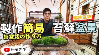 趣味盆栽 | 在家也可以製做苔癬盆景！打造日式苔玉！苔盆栽の作り方【松菓先生】DIY make Catharanthus Roseus Plant