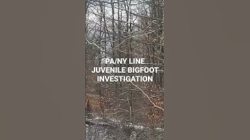 PA/NY STATE LINE JUVENILE BIGFOOT INVESTIGATION JAN 2023