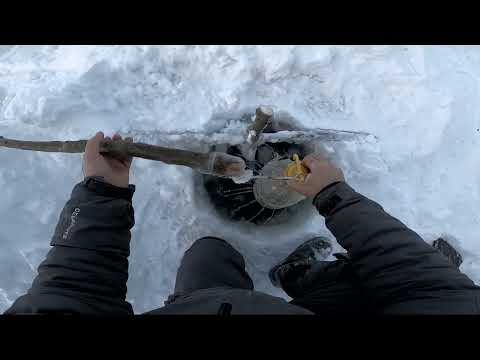 (33) Проверка снастей на налима. Рыбалка на Енисее.