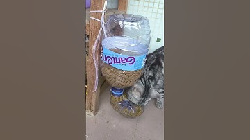 Home made pet feeder