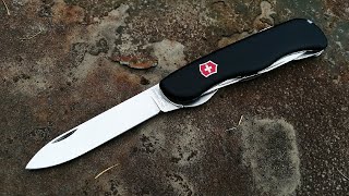:   Victorinox Nomad/Picknicker   