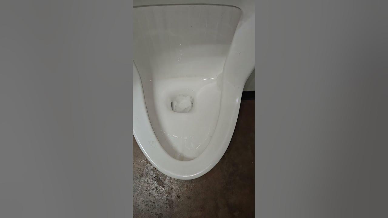 Early 2000s Eljer Dover Urinal Flushing Toilet Paper YouTube