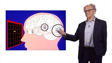 Torsten Wiesel (Rockefeller University): Exploring the Visual Brain