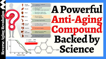 Scientists Found a Molecule That Extends Lifespan (What Is It?)