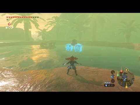 ゼルダ の 伝説 ブレス オブザ ワイルド フロドラ