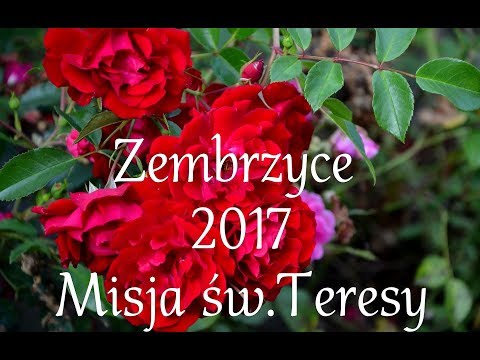 Wakacyjny wyjazd młodzieży - Zembrzyce 2017