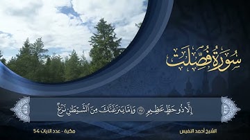 41   سورة فصلت   الشيخ أحمد النفيس