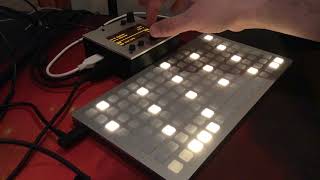 gridstep - an isomorphic grid sequencer I've been working on for the Monome Norns and Grid