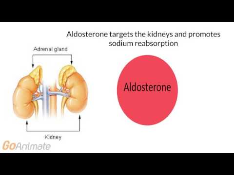 How Electrolytes, Sodium, Potassium and Chloride Function in your body ...