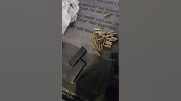 Standard Skip Tracer Training... & a Seagull. #skiptracing #2ndamendment