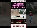 もはや走ってないｗ【バンカラジオ】#Short #バンカラジオ切り抜き #やねすけ #きいた