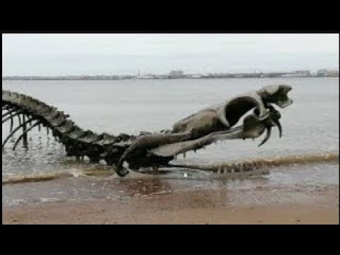 Гигантский скелет змеи и НЛО Дом в лесу - YouTube