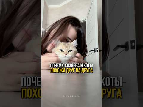 Почему хозяева и их коты так похожи друг на друга?👩🏻🐈⬛