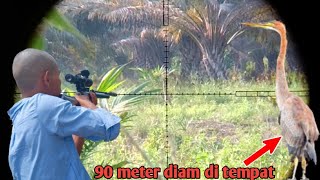 Long Range Shooting❗Long Neck Bird❗Berburu Ruak2 & Hama Tambak Momen 90 Meter Jawara Mouser OD32